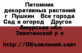 Питомник декоративных растений г. Пушкин - Все города Сад и огород » Другое   . Амурская обл.,Завитинский р-н